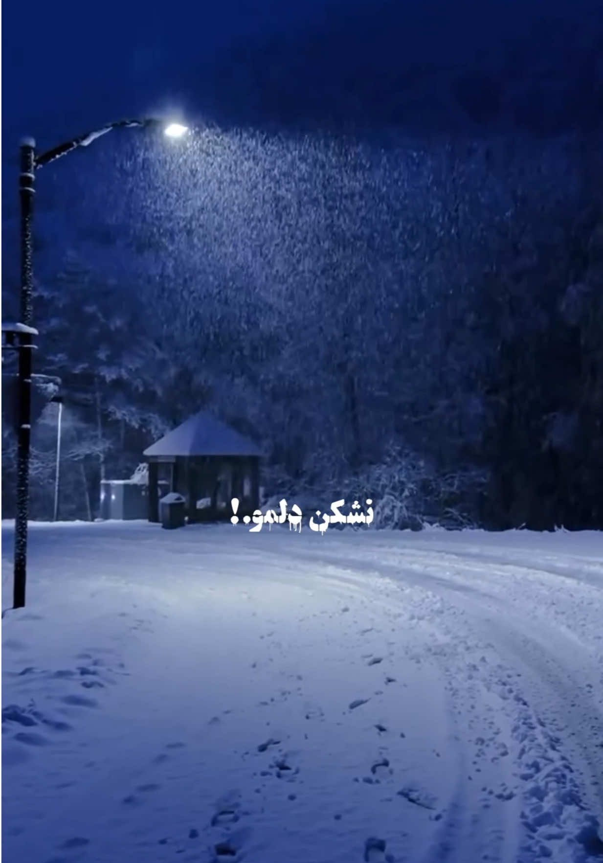 @ððð£ð.ðððð¡ð§á¥«á¡