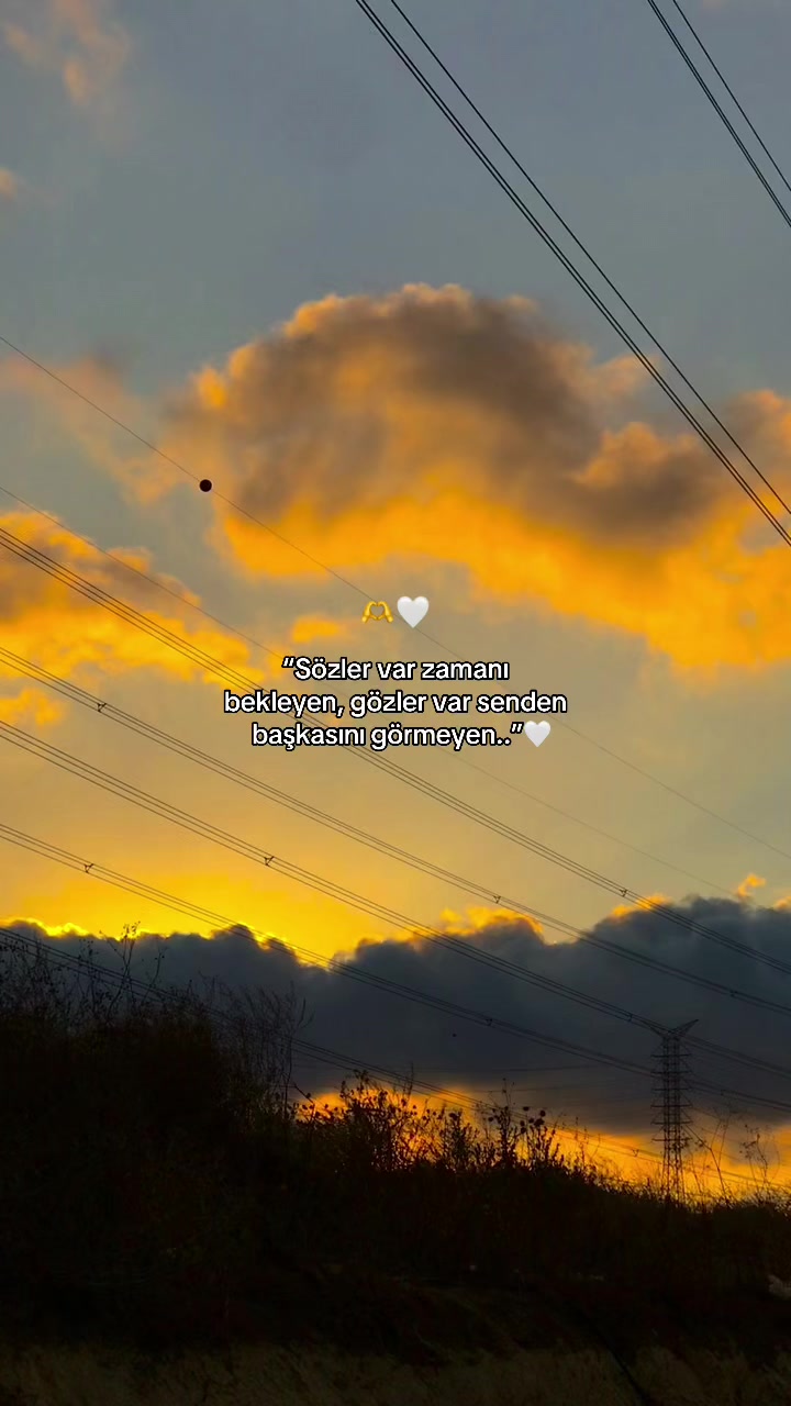 @𝑩&uuml;𝒏𝒚𝒂𝒎𝒊𝒏⚡️