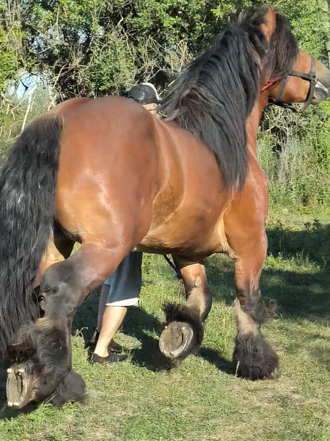@ВАСЯ БОЙЧУК 🐎