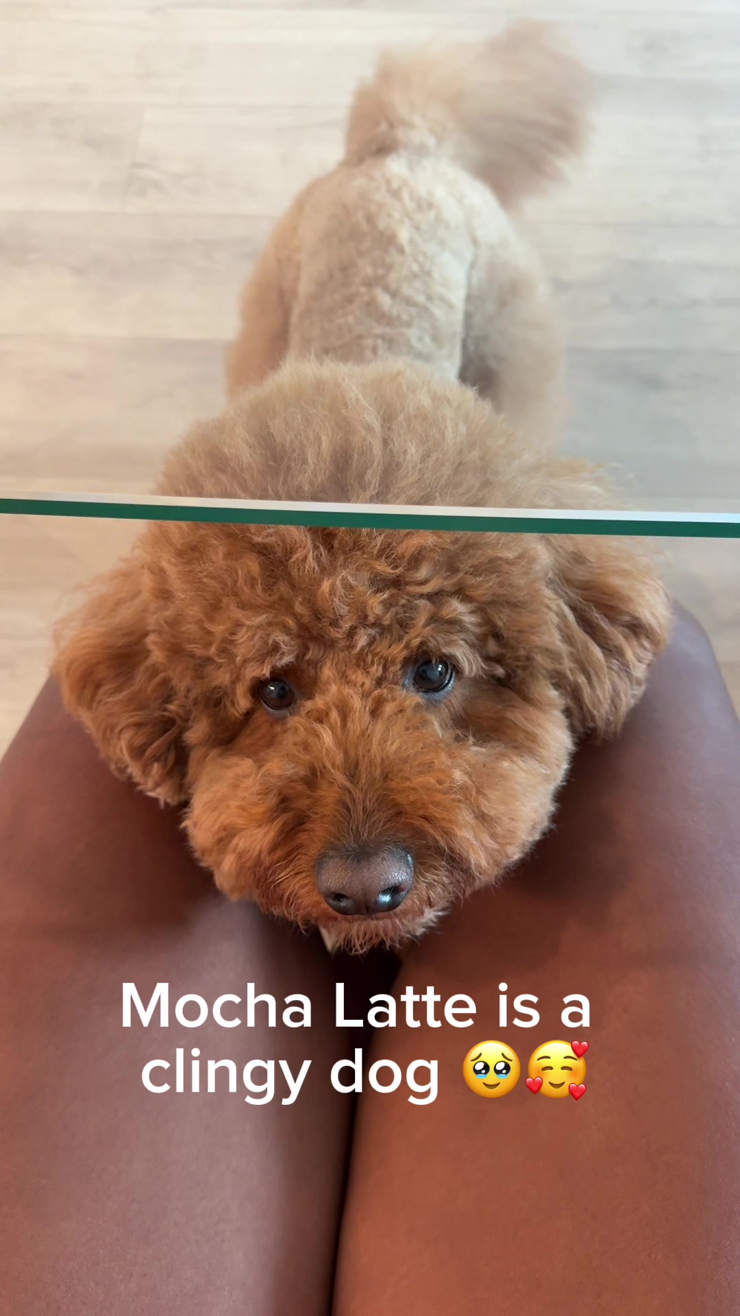 @LA Shay & Mocha Latte 🤞🏾