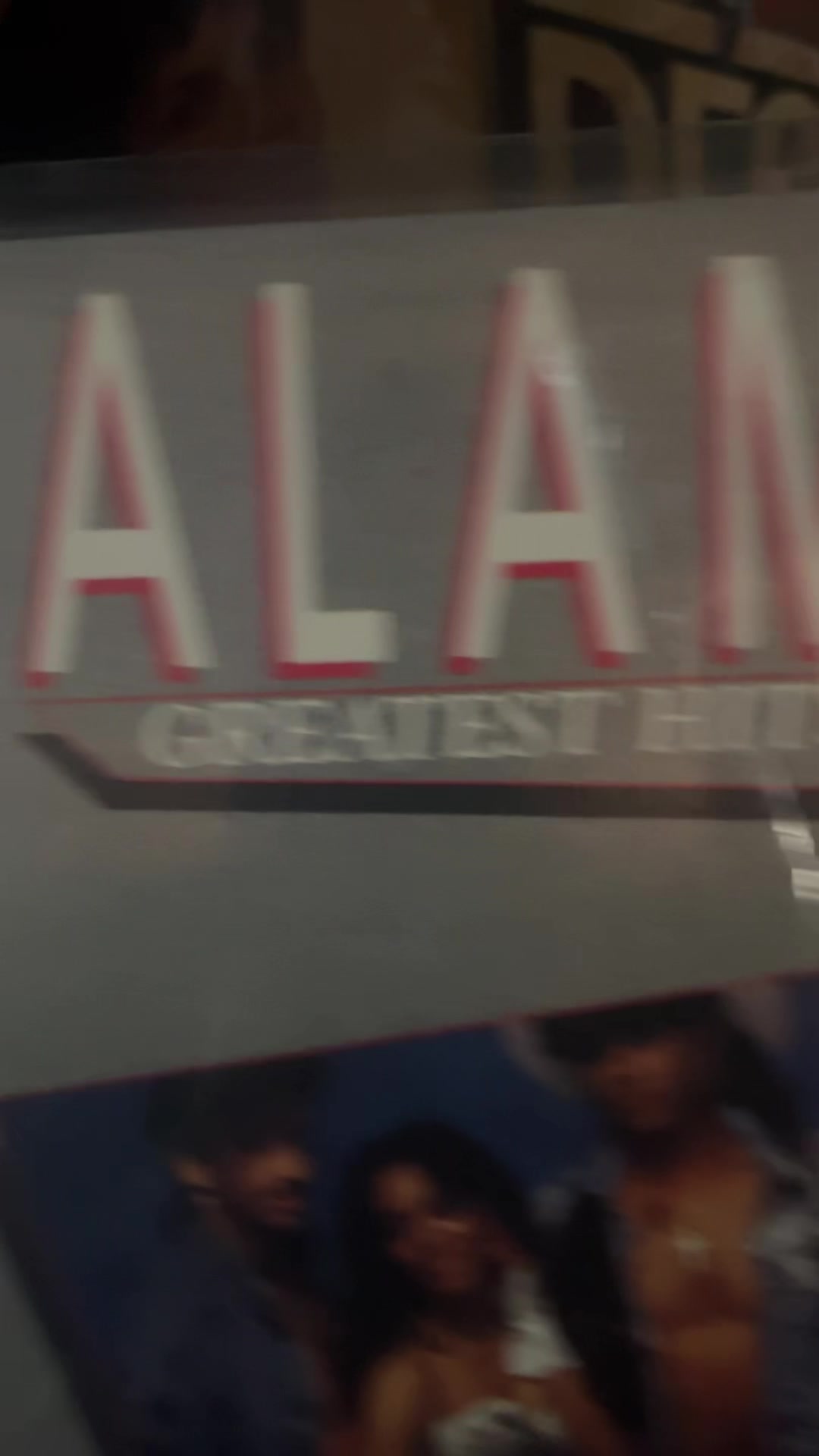 @The Vinylist