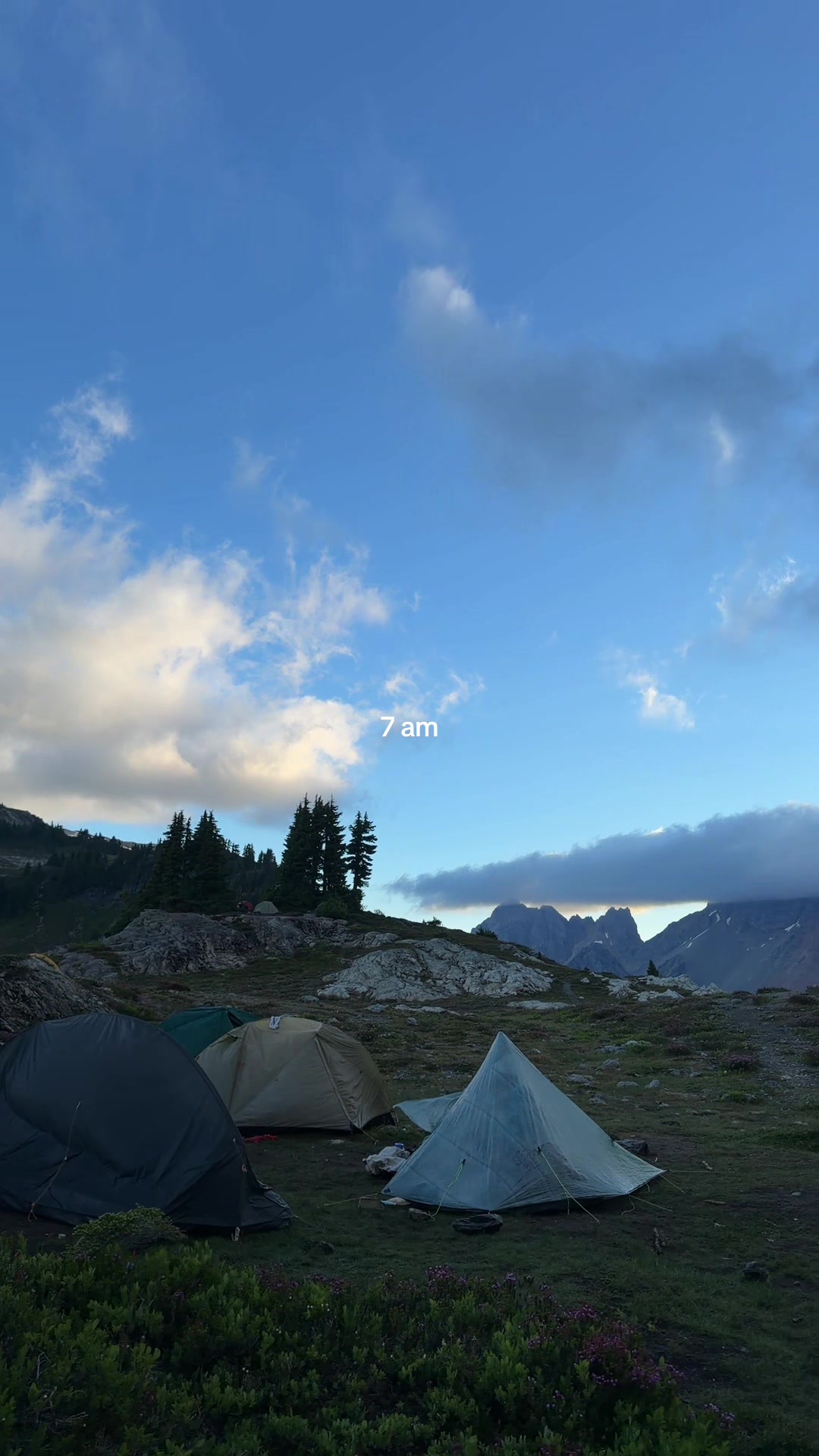 @Viksi | Traveler & Creator