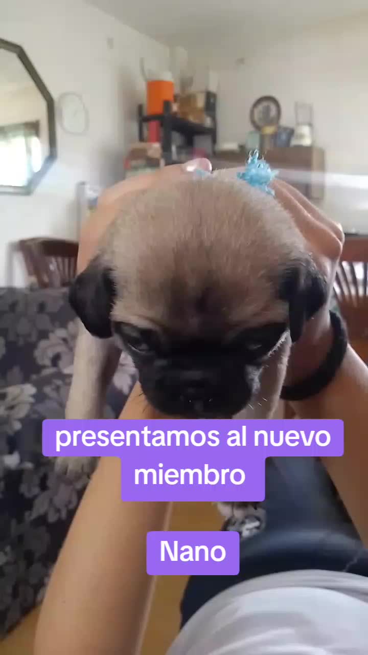 @maxazteca