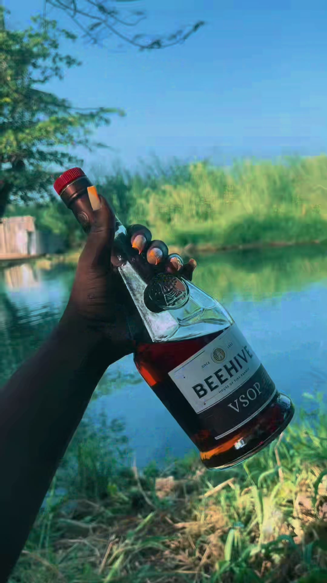 @Choco🫧🫧
