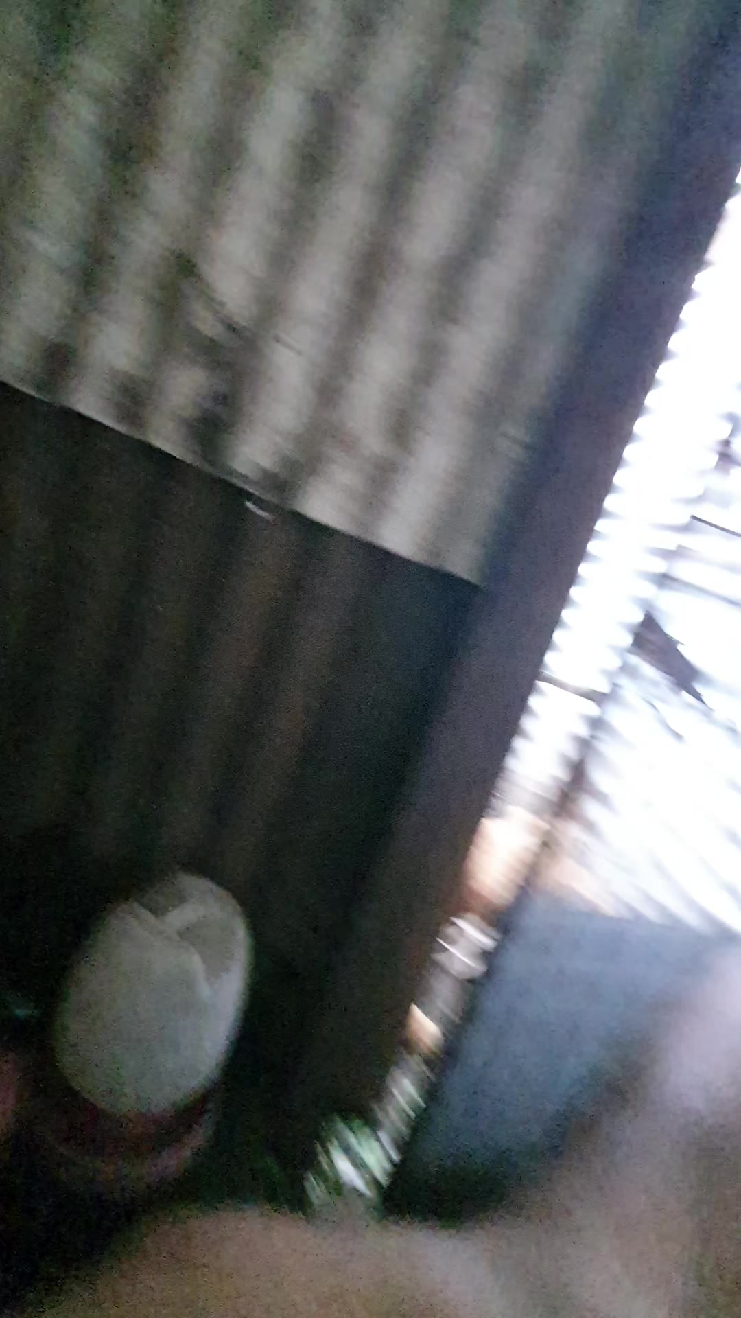 @Tatuy's BKYRD
