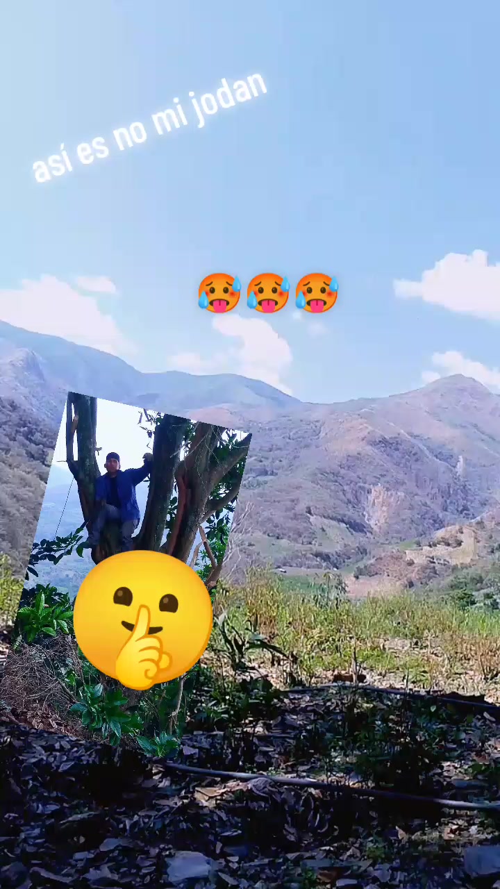 @lobo💖🌌🐺solitario 🫂🇧🇴🇧🇴