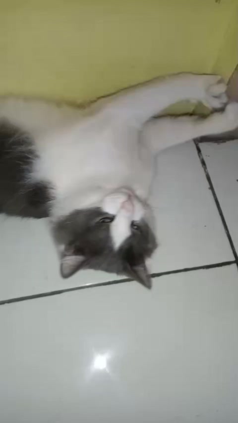 @Erni_marpaung