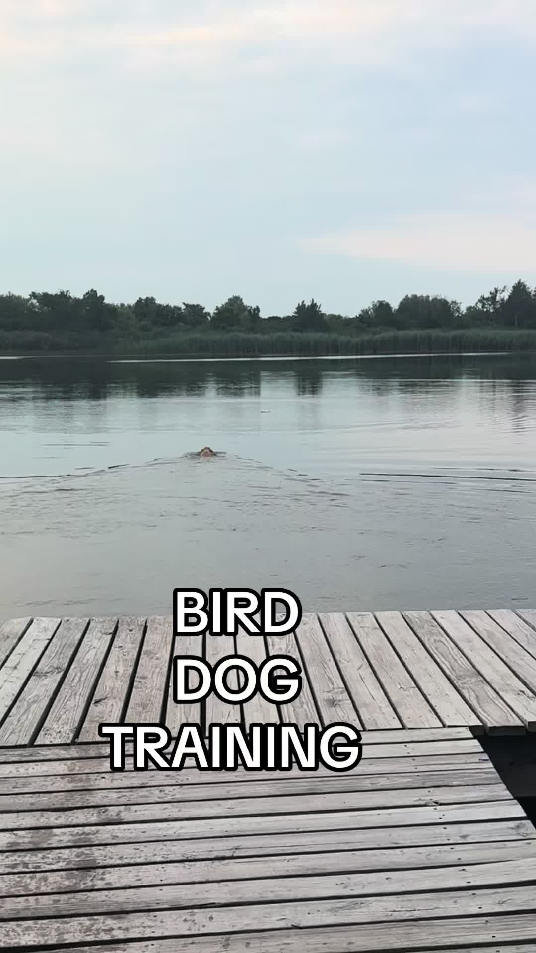 @HARDWATER FREAKS