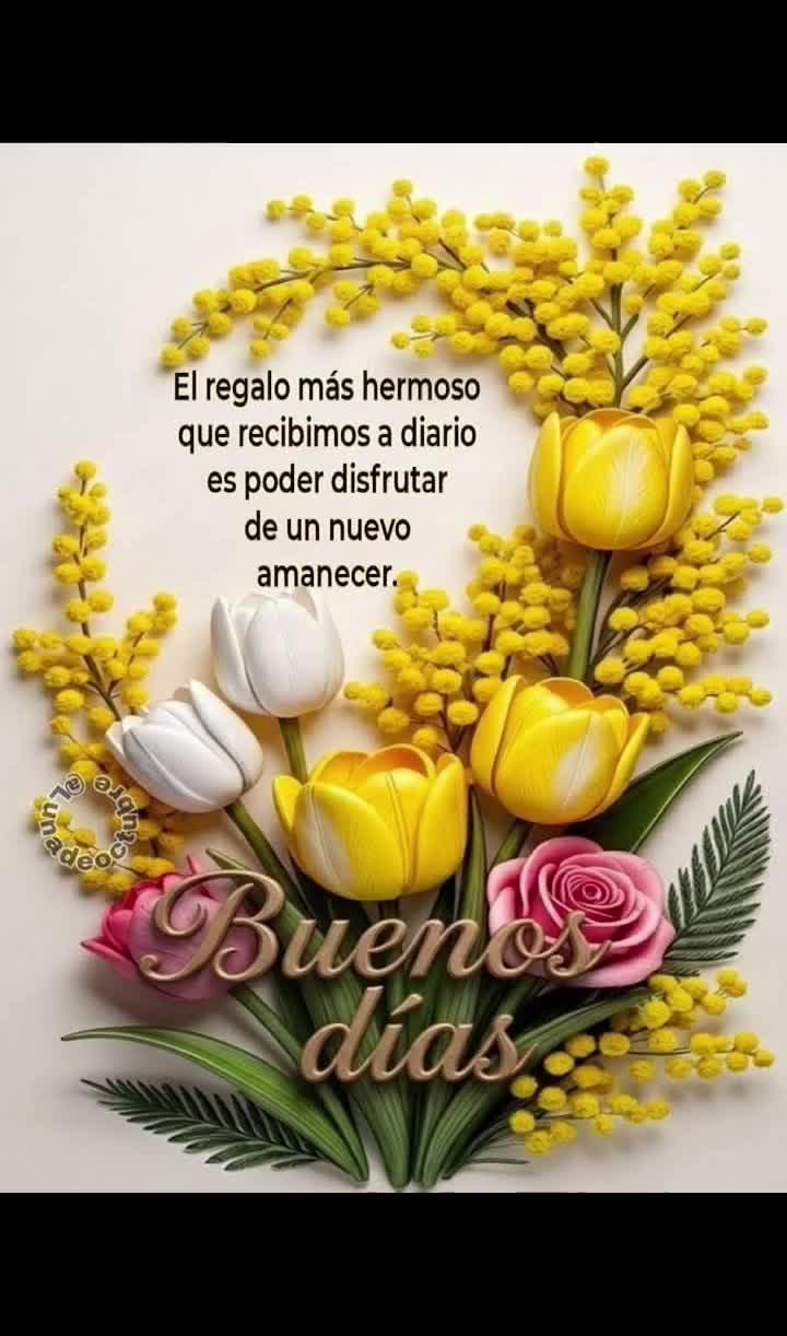 @Maria Ysabel 🇻🇪