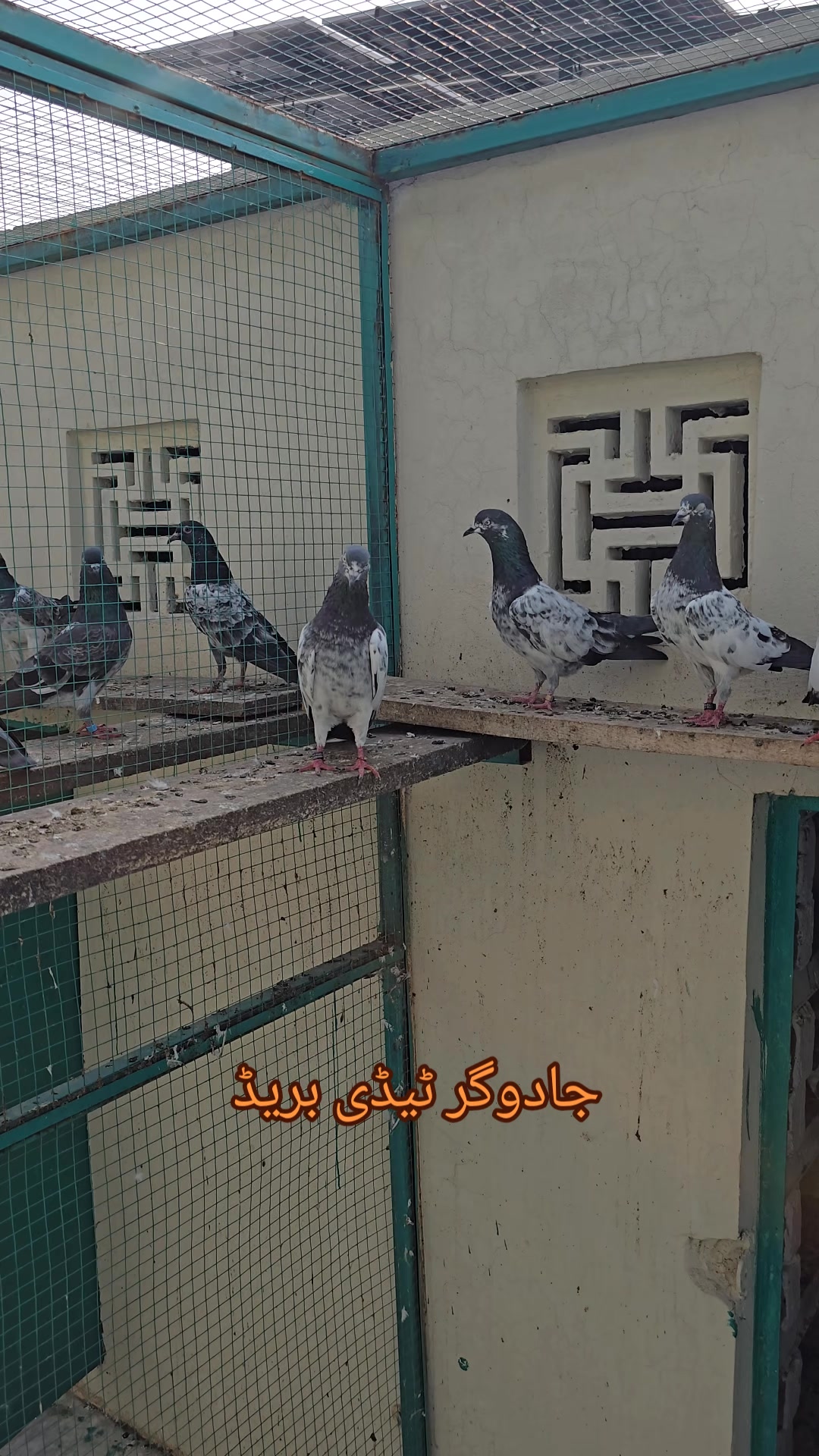 @Malik Mohkam Khokhar