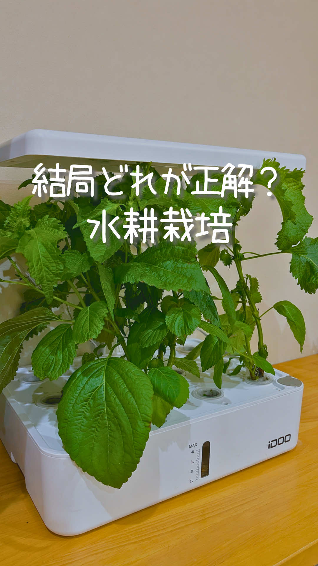 @はる|年間100種類の野菜を育てる3児のママ🍅