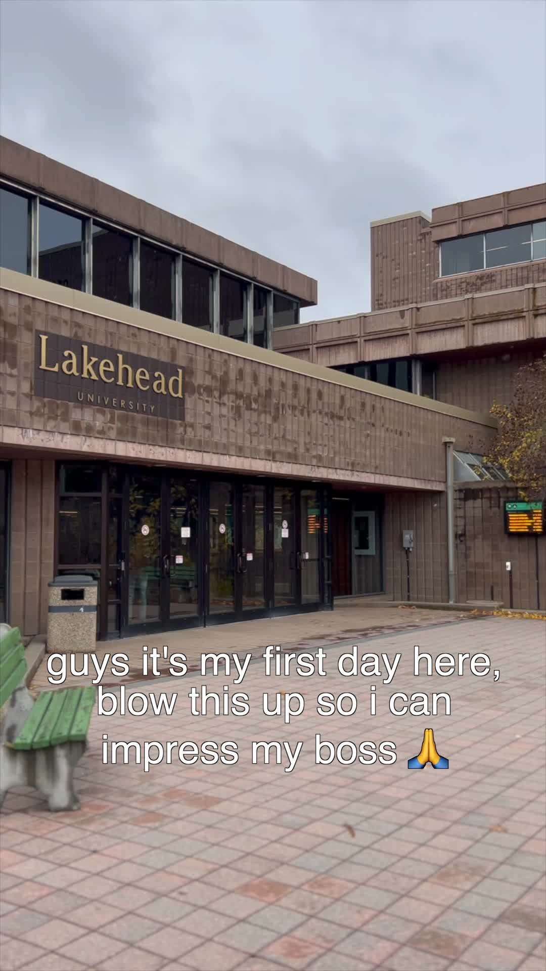 @Lakehead University