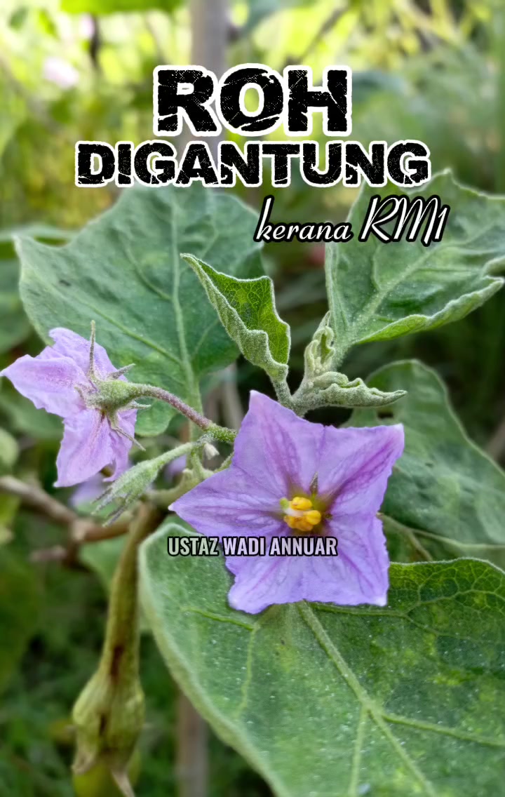 @Suhana