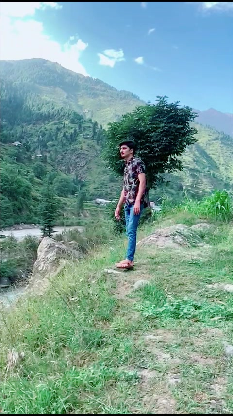 @Gillsahib88