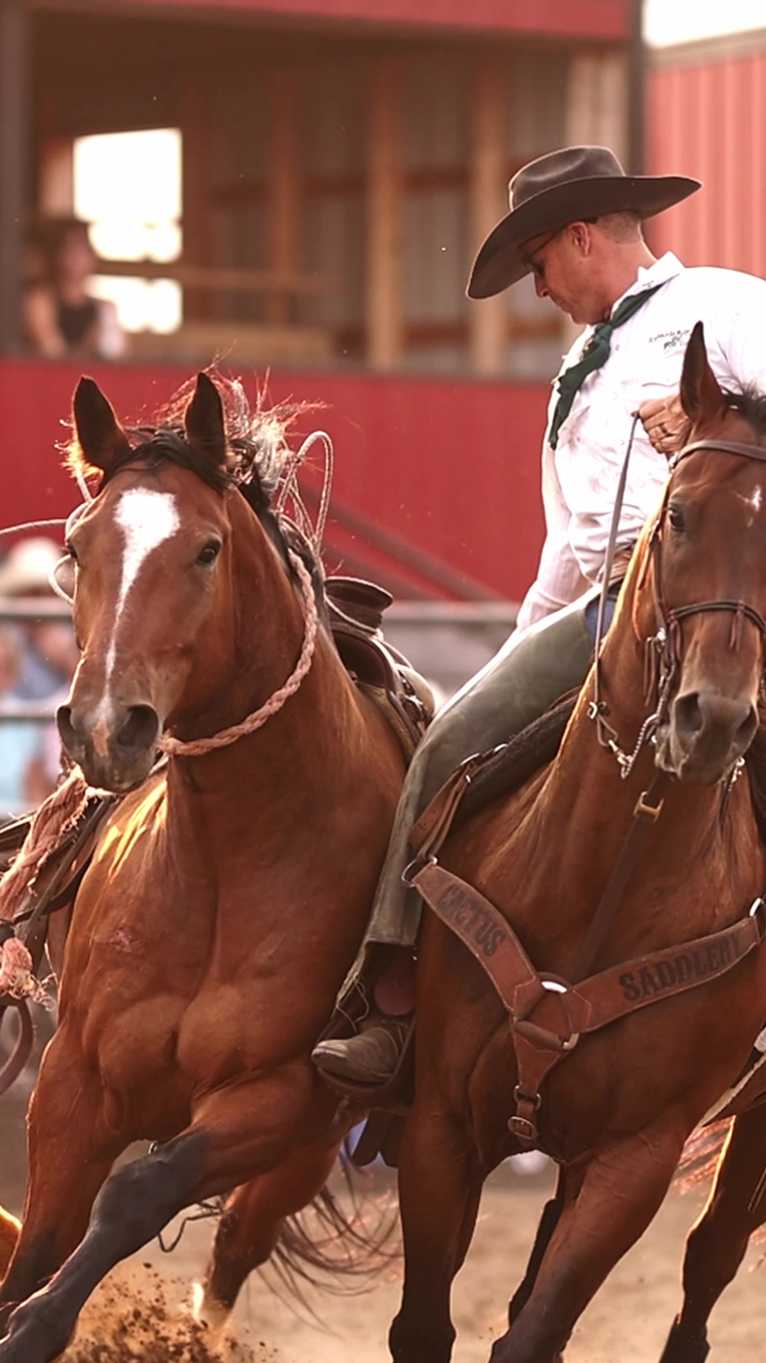 @Hanginghorses