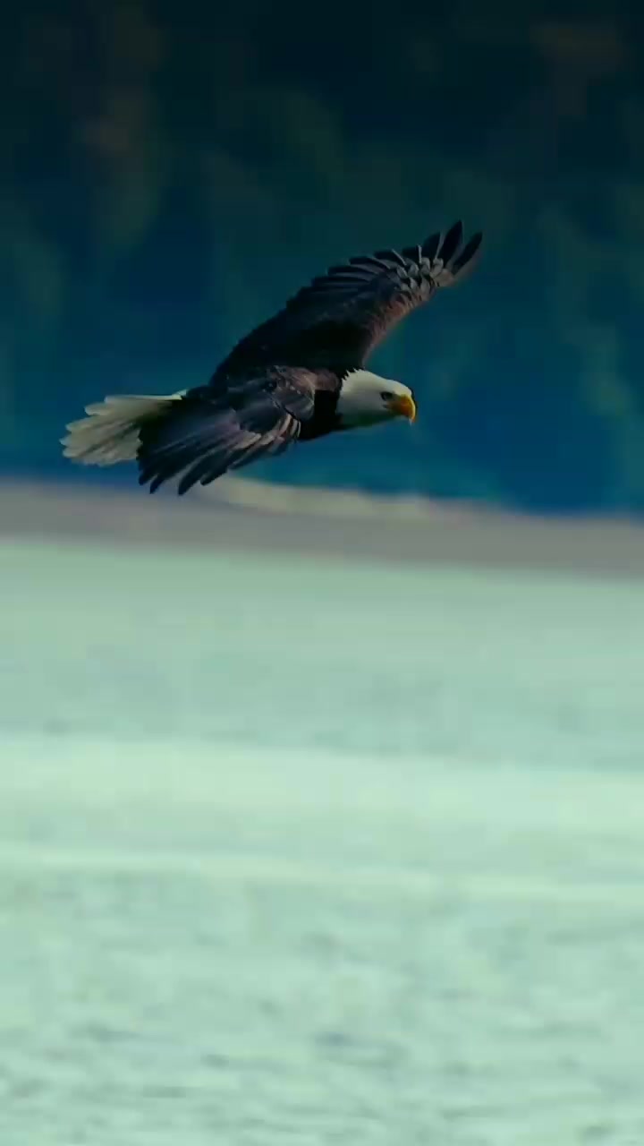 @منوعات