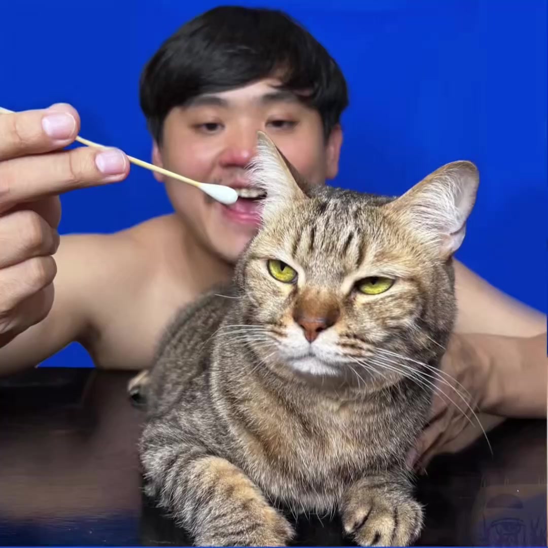@lowcostcosplayreal