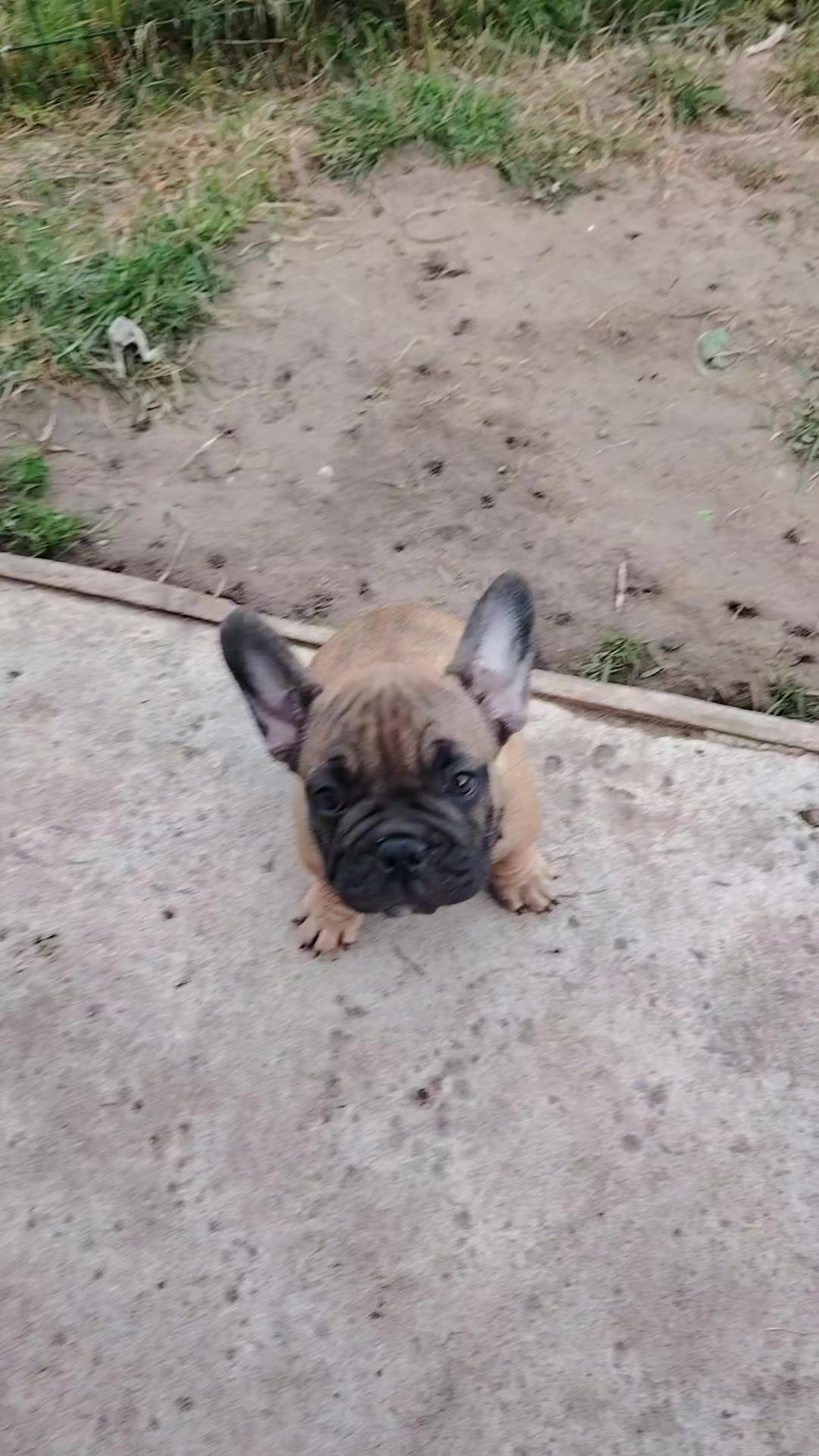 @Bulliunatulli