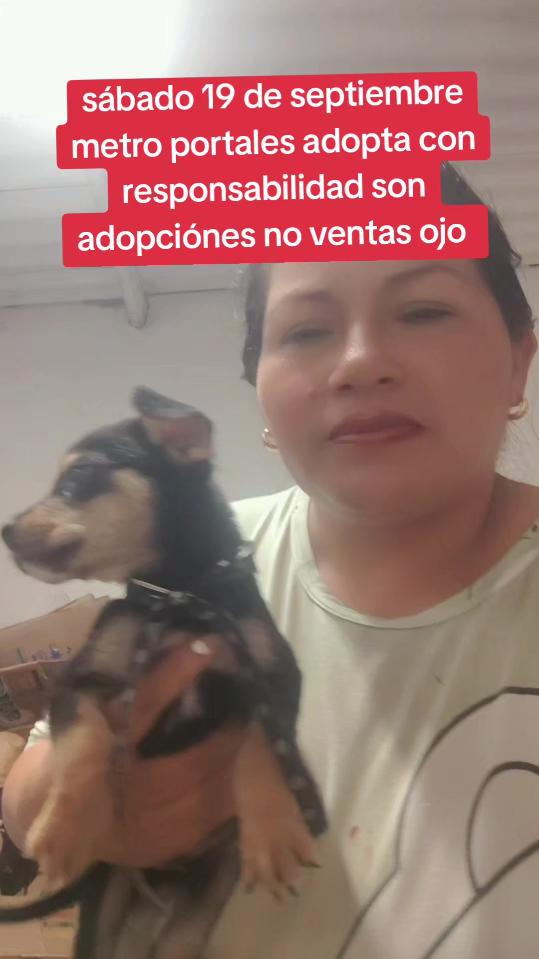 @rescate de perros guapos 😚