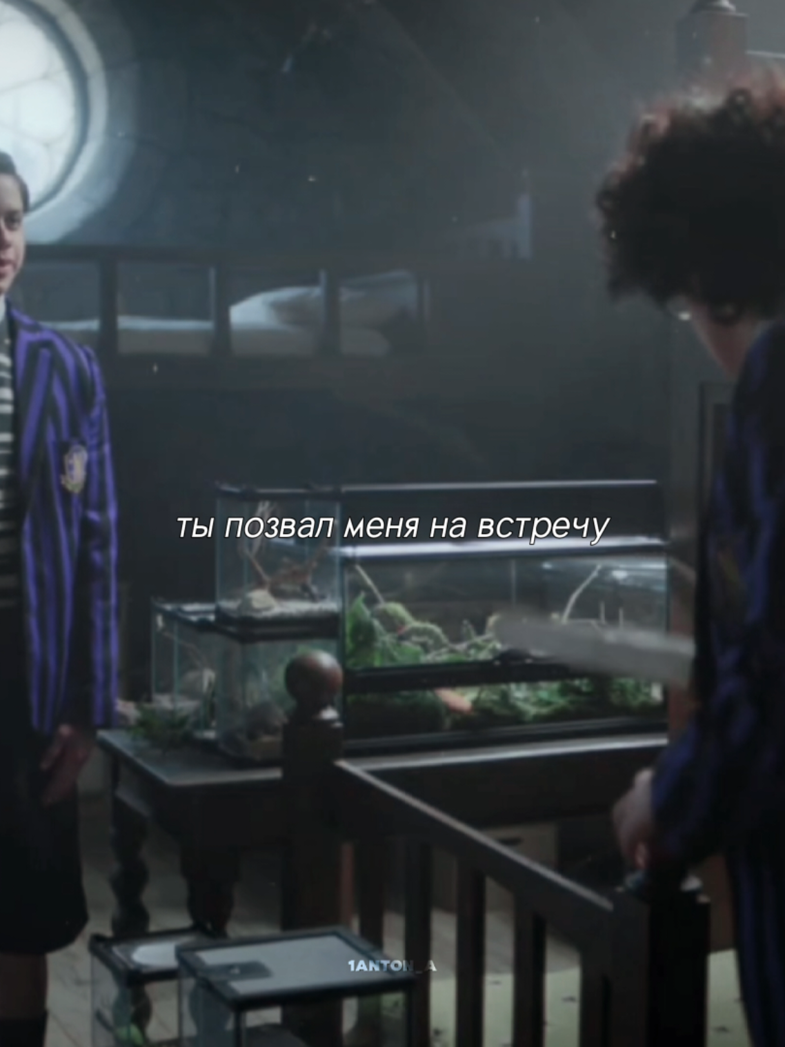 @Антонн⊹