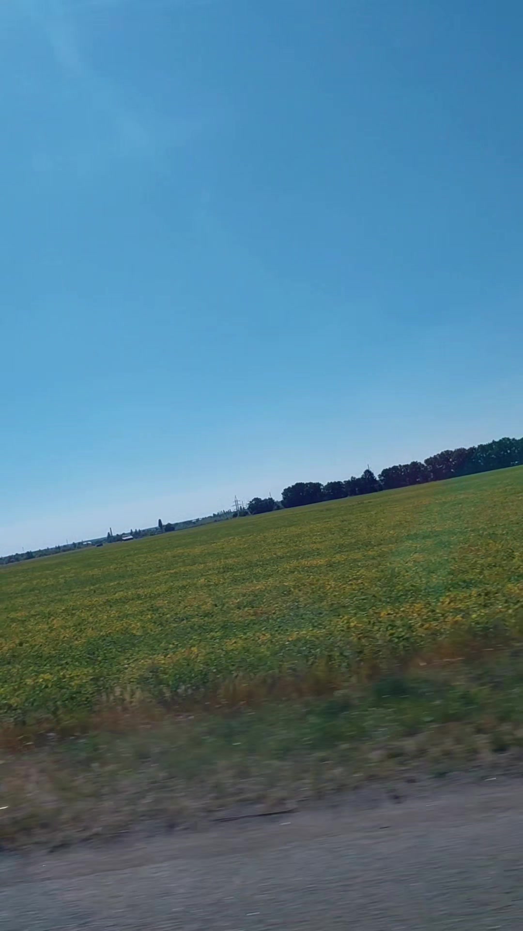 @✨️𝕍і𝕜𝕥𝕠𝕣і𝕪𝕒✨️