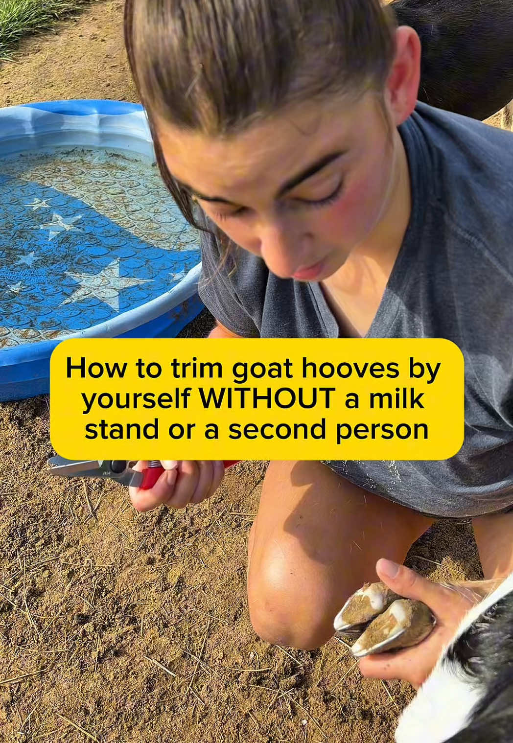 @Heart & Hoof Homestead
