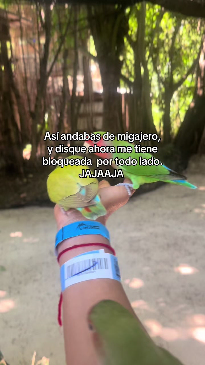@🌻Fati Salinas🌻