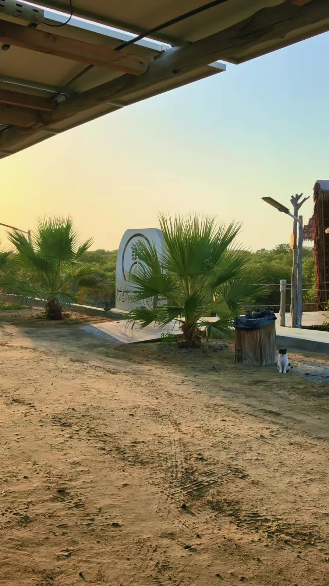 @꧁༒♛ 🇦🇪𝐑 𝐀 𝐇 𝐈 𝐌🇦🇪 ♛༒꧂