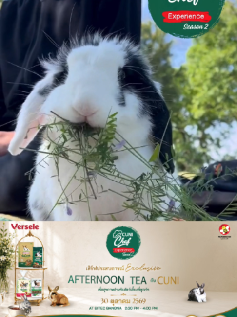 @WelovepetsbyPamornchaiSupply