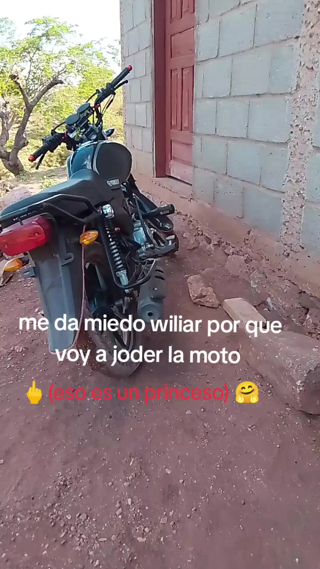 @Noel bekelef🤑