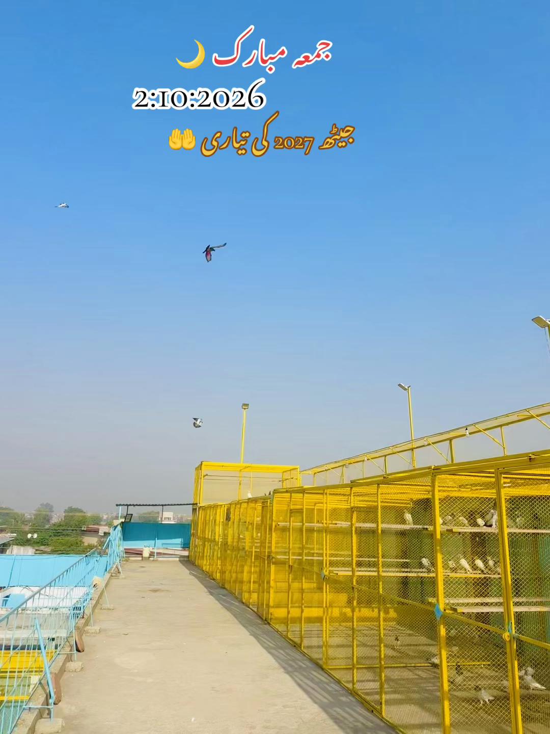 @ToqeerKhan300