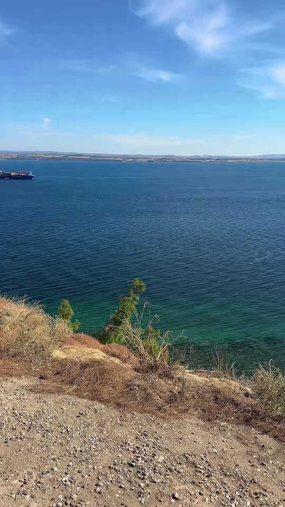 @&Ouml;ZCAN 4217