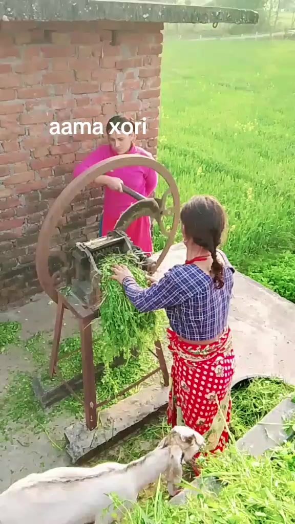 @Parwati Joshi