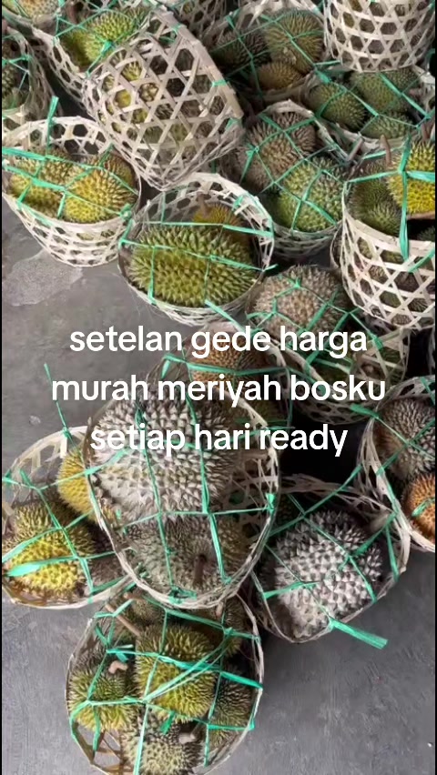 @Kenzhi Durian Tuban
