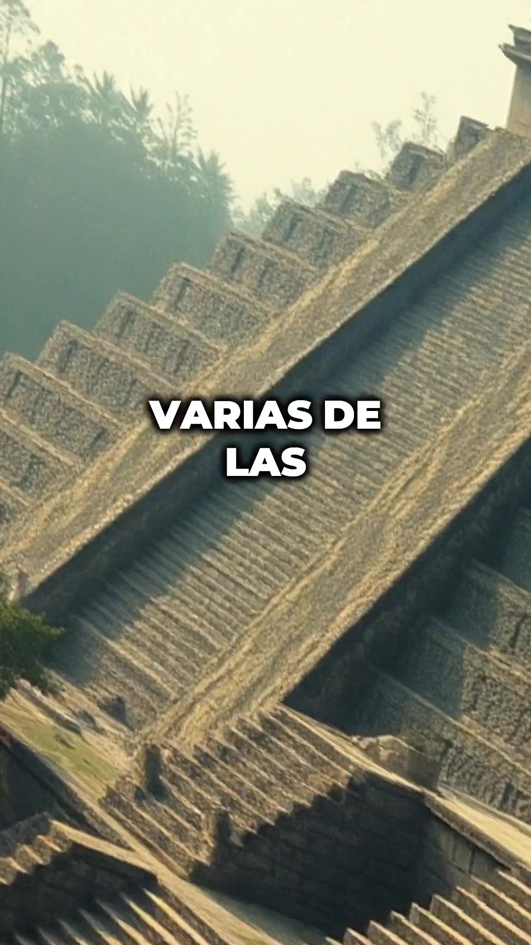@Archivo 2050