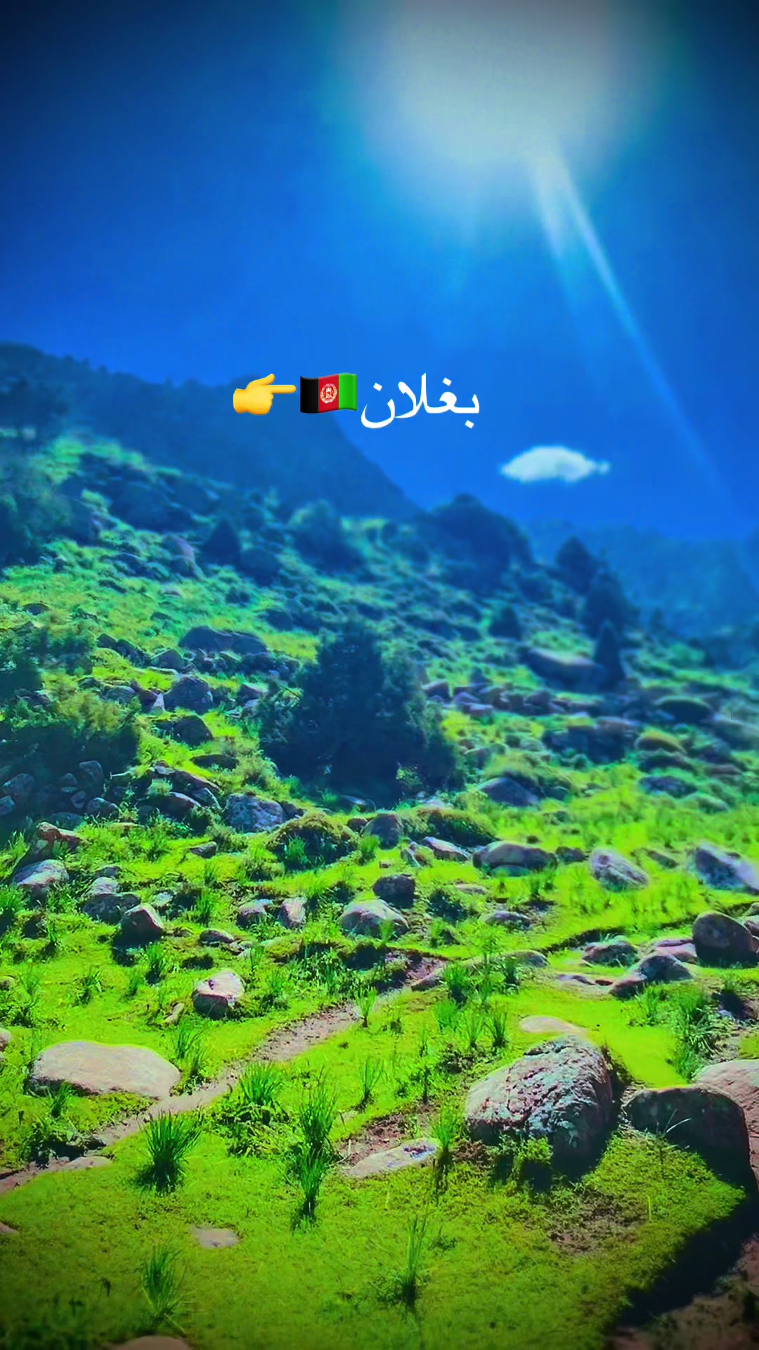 @shinwari