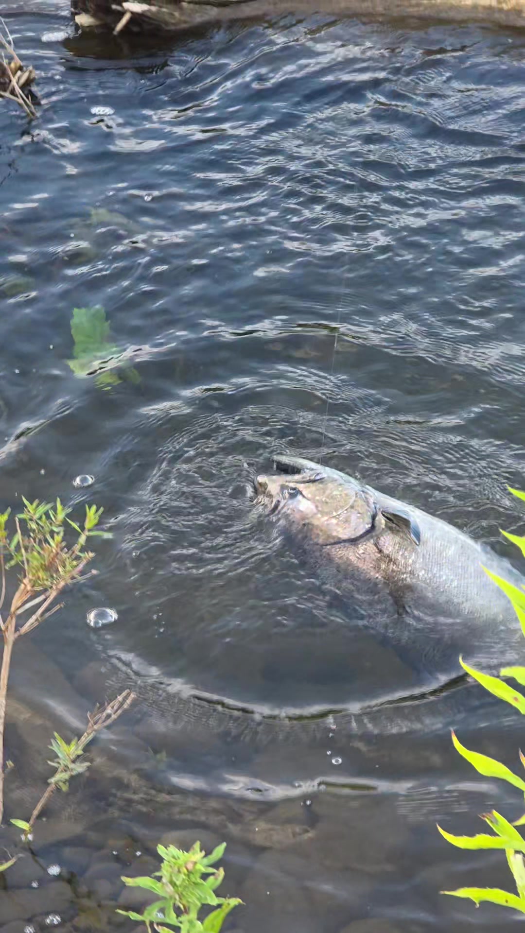 @the360angler