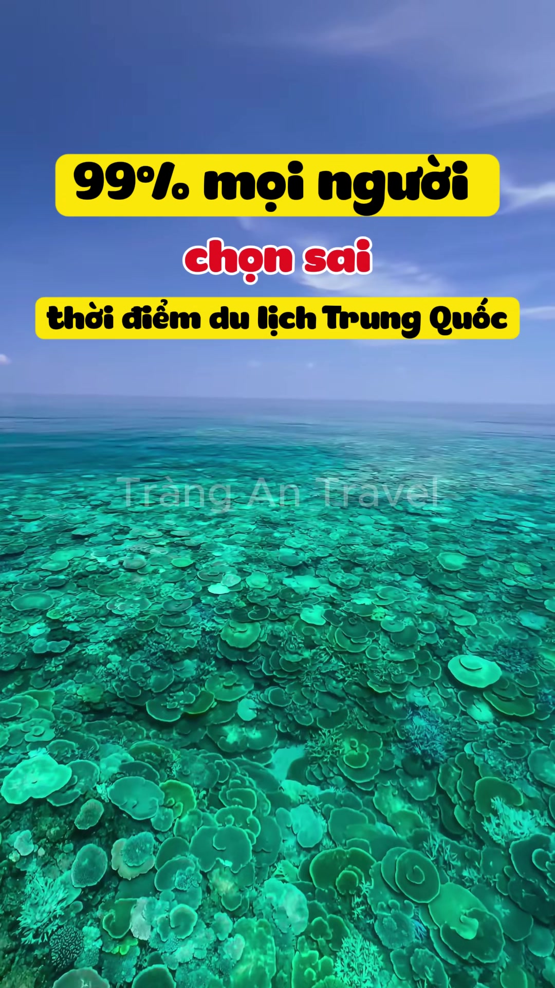 @Tr&agrave;ng An Travel