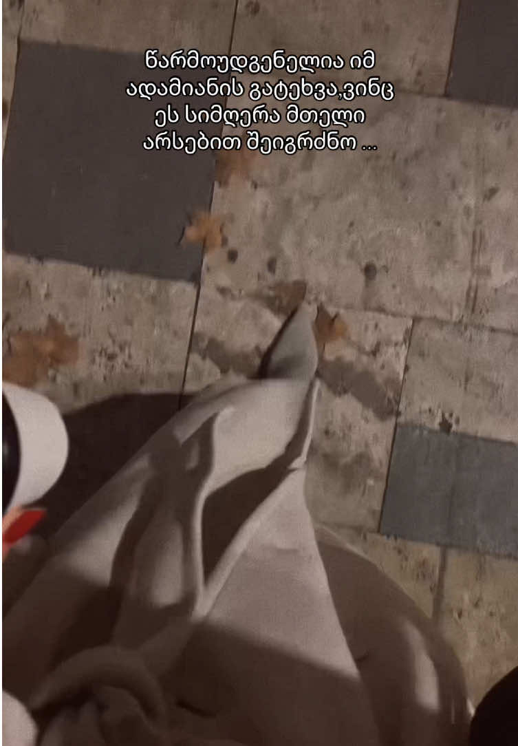 @Lana_ Kolo 🤍🪽