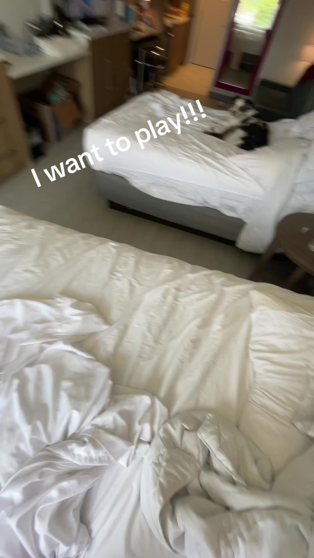 @riotmom1126