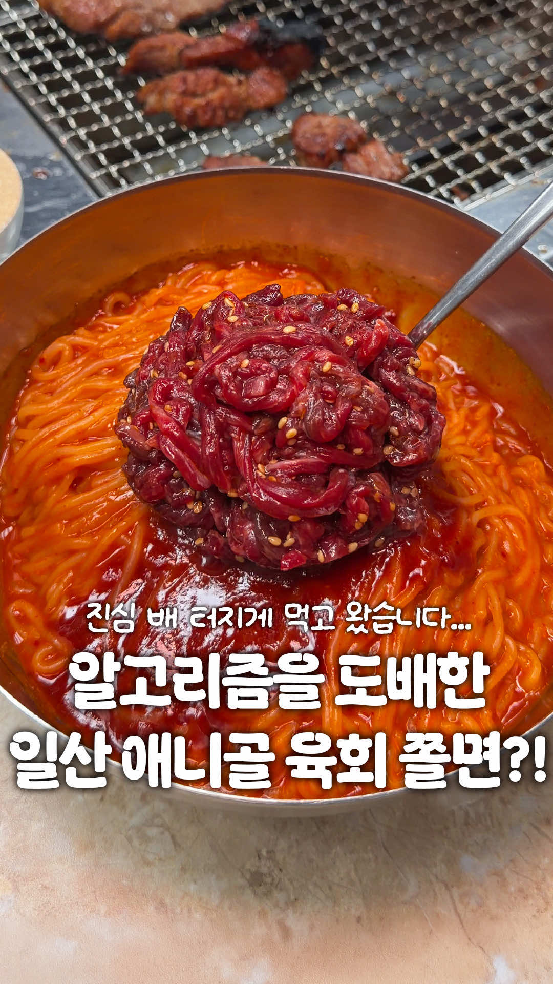 @일산갈고양