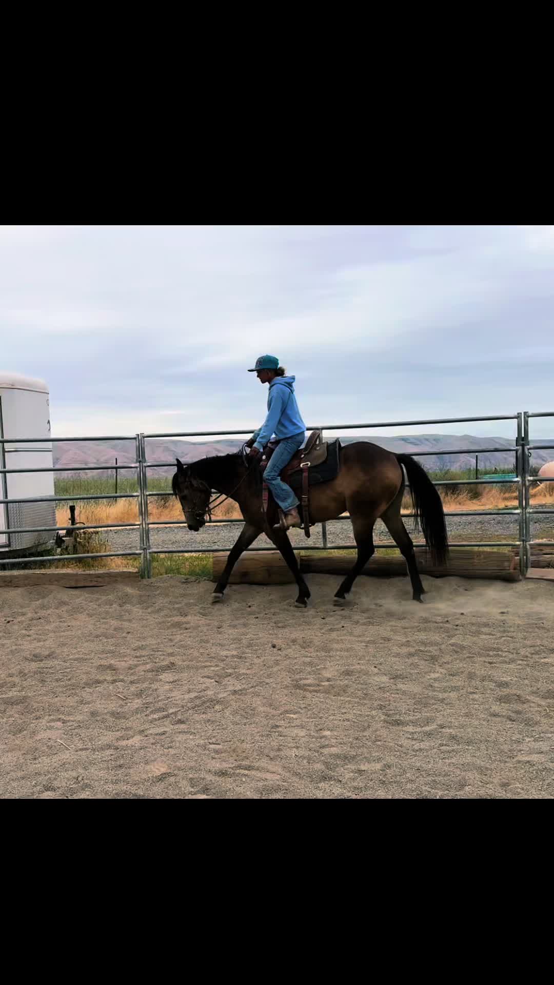 @Cowgirl Tuff Colt Training ❤️