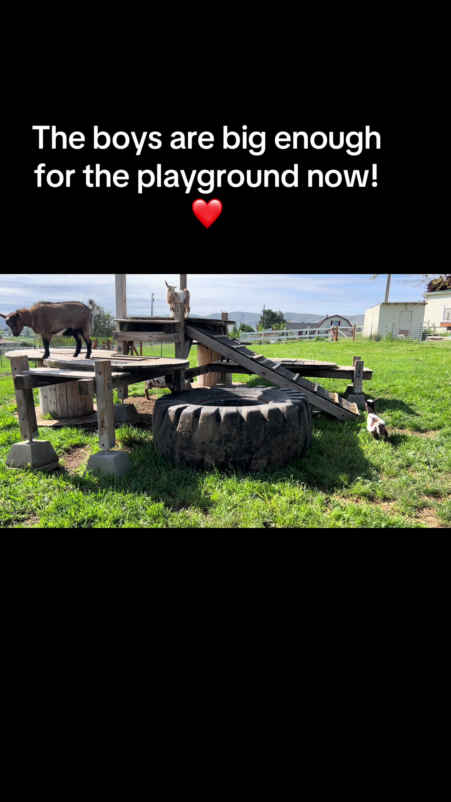@WollamFarm