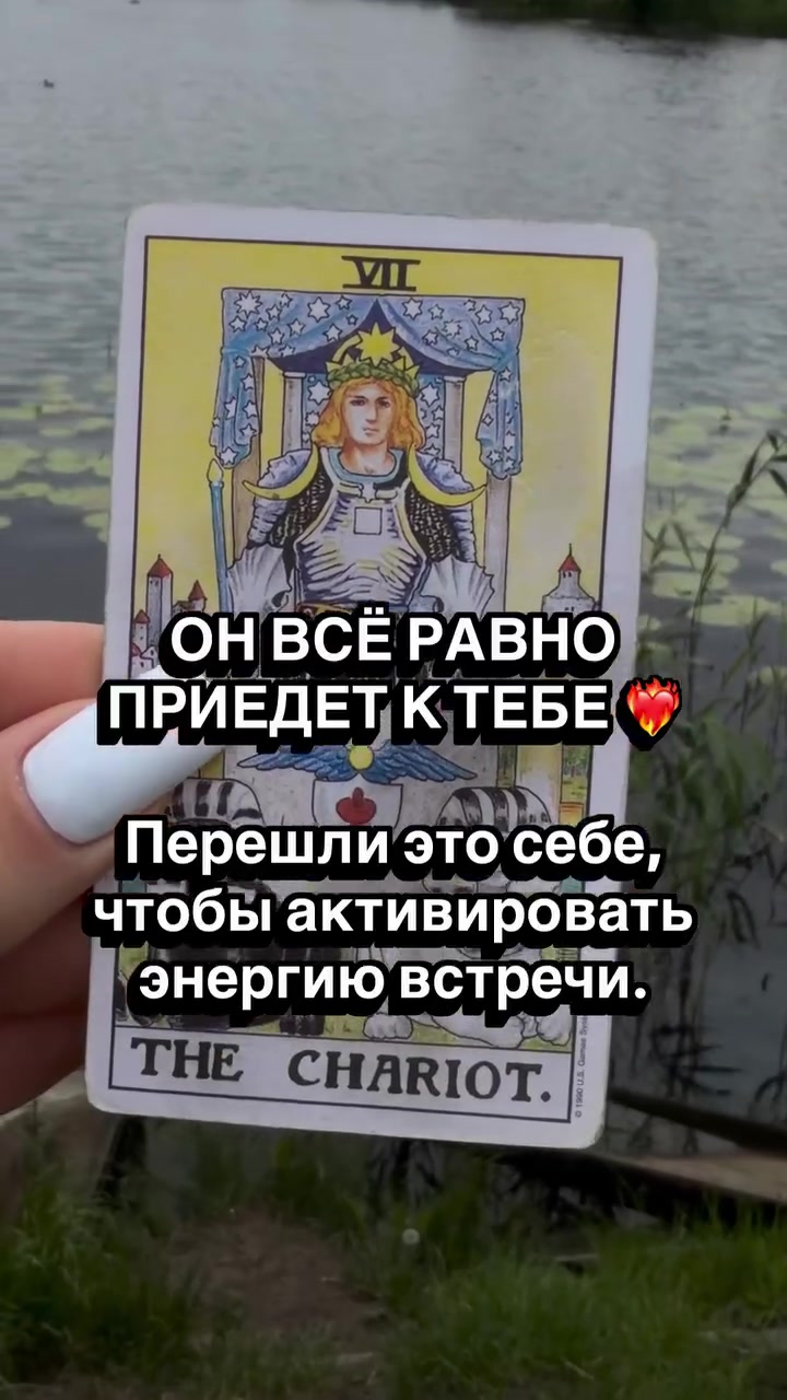 @Lyubov