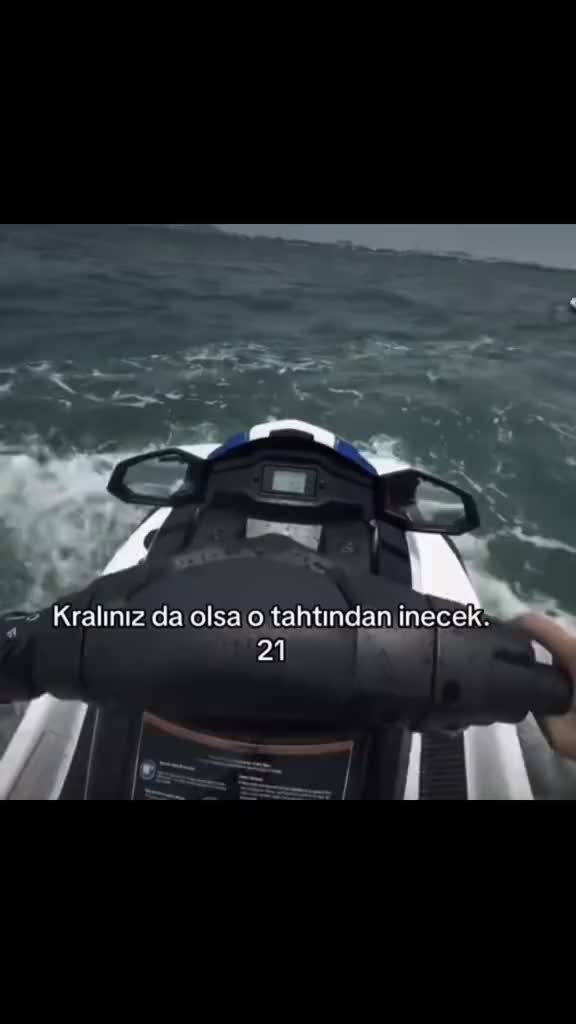 @𓆈