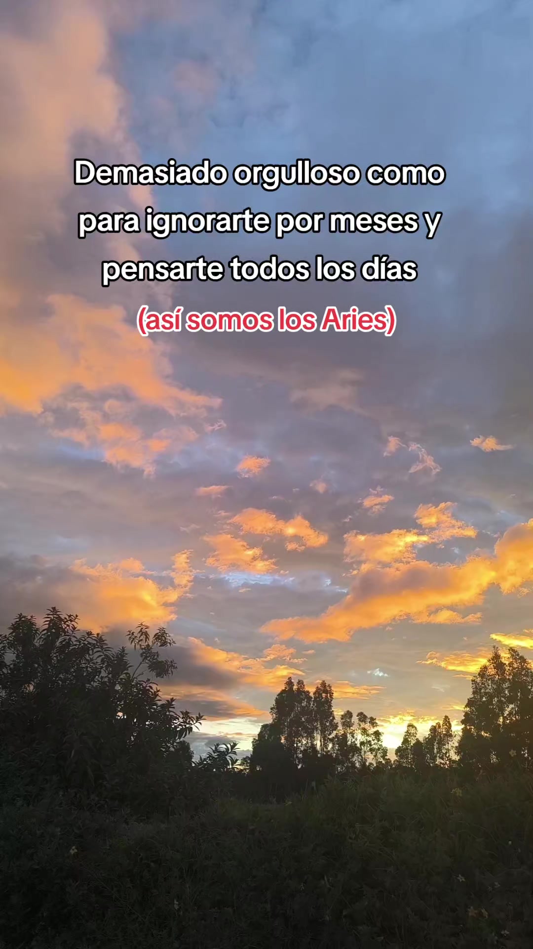 @Dulce Alexiita