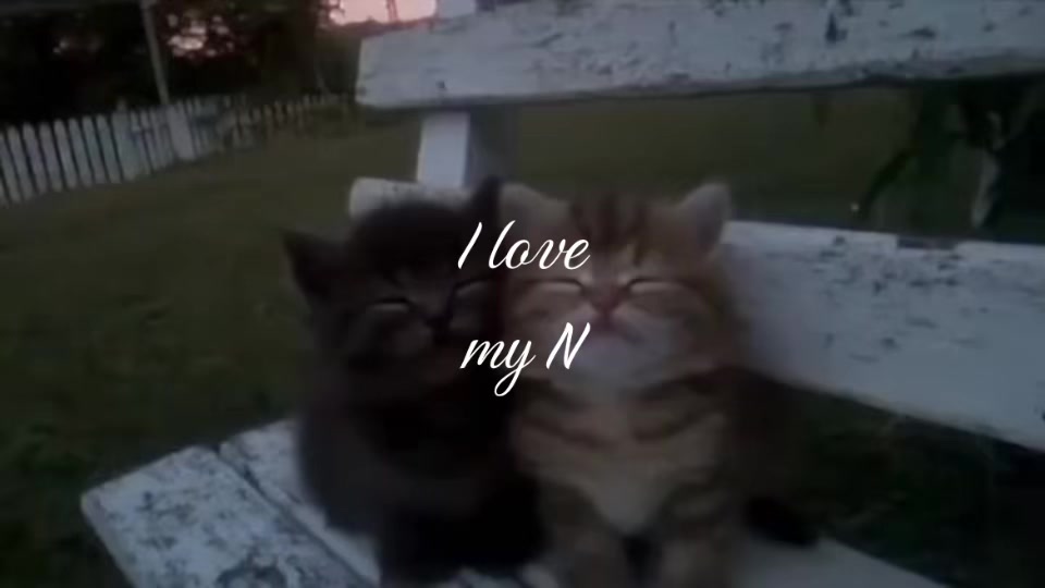 @dinxii8