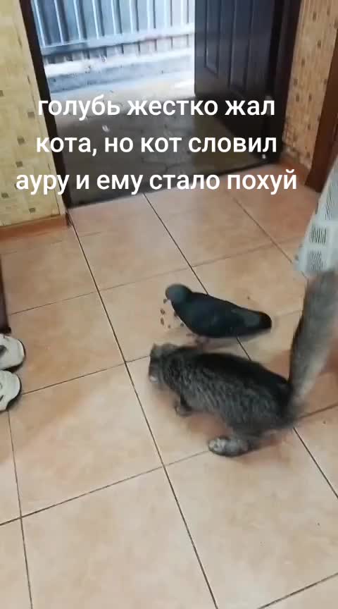 @Имя