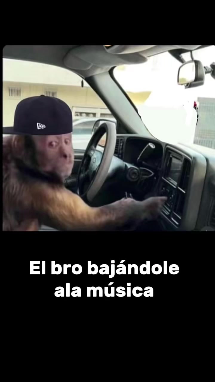 @palbiker🚀