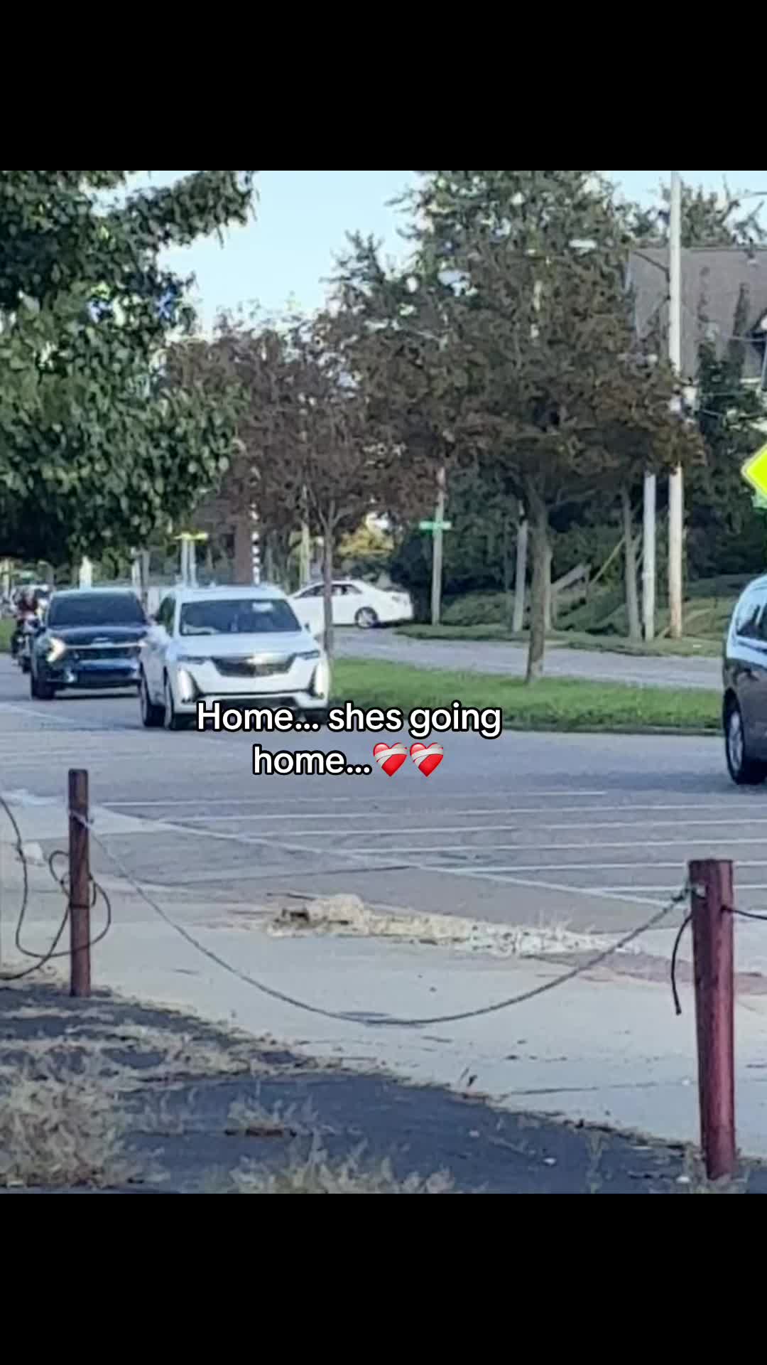 @🍃